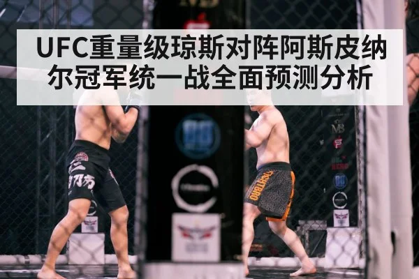 MMA octagon fight